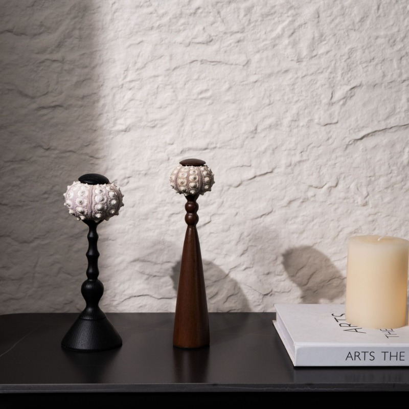 Interior Design Organic Modern - Yaratıcı Kabuklu Heykel El Işi Denizden