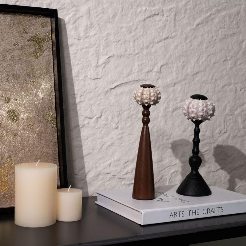 Yaratıcı Kabuklu Heykel El Işi - Interior Design Organic Modern incelemesi ve fiyatı